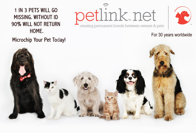 Order Posters & Brochures - PetLink