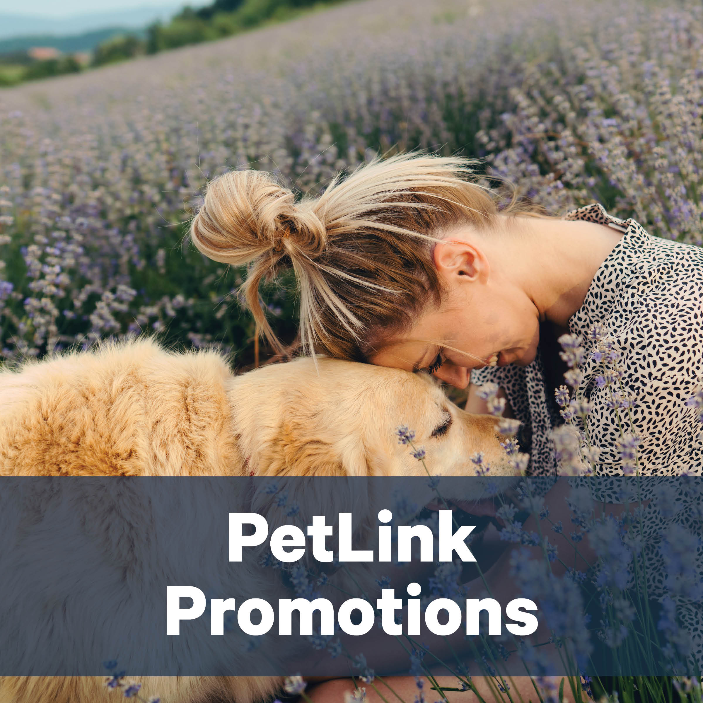 Promotional PetLink Social Media Ads